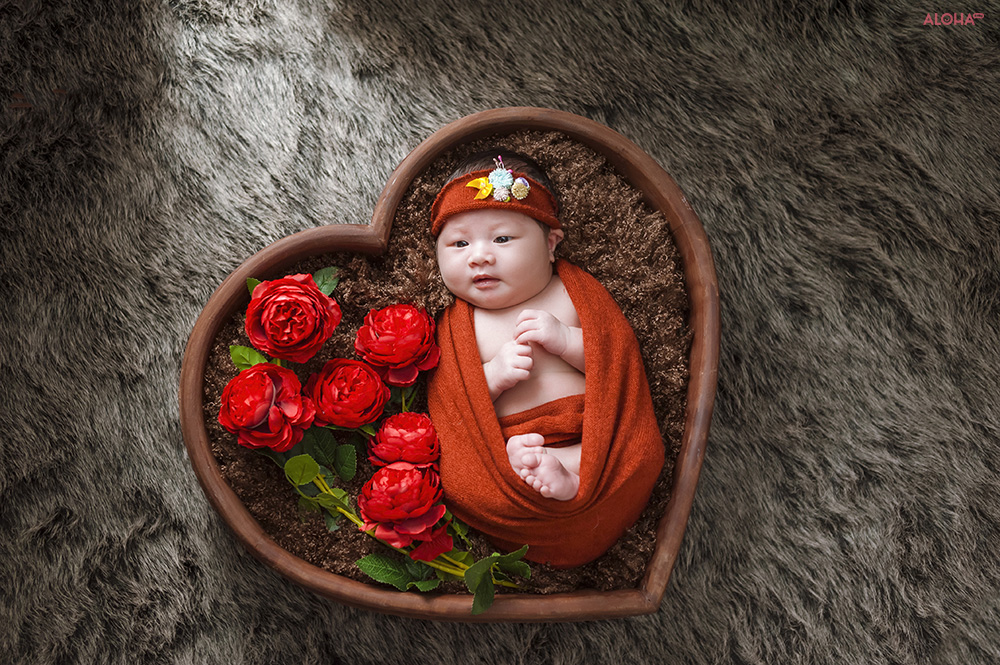 album ảnh newborn 26